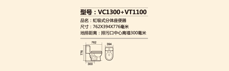VC1300+CT1100.png