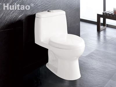 HB5261 Conjoined toilet