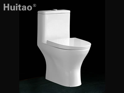 HB5256 Conjoined toilet