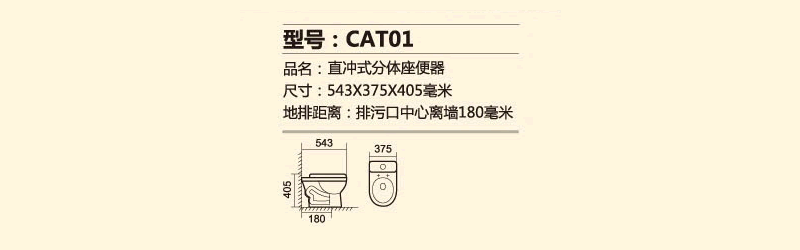 CAT01.png