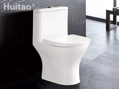 HB5256 Conjoined toilet