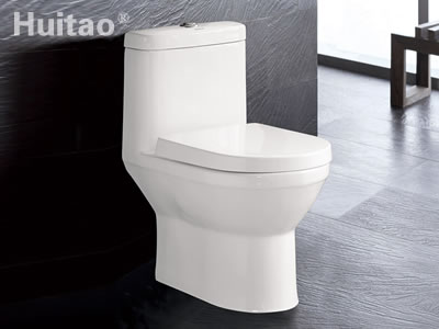 HB5258 Conjoined toilet