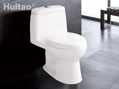 HB5261 Conjoined toilet
