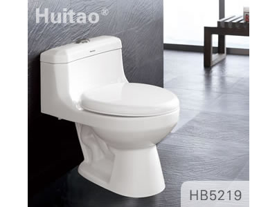 HB5219 Conjoined toilet