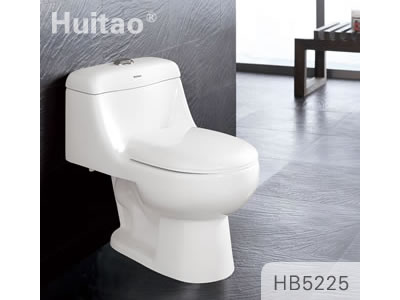 HB5225 Conjoined toilet