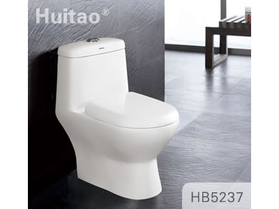 HB5237 Conjoined toilet