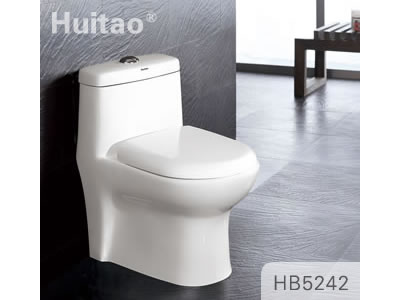 HB5242 Conjoined toilet